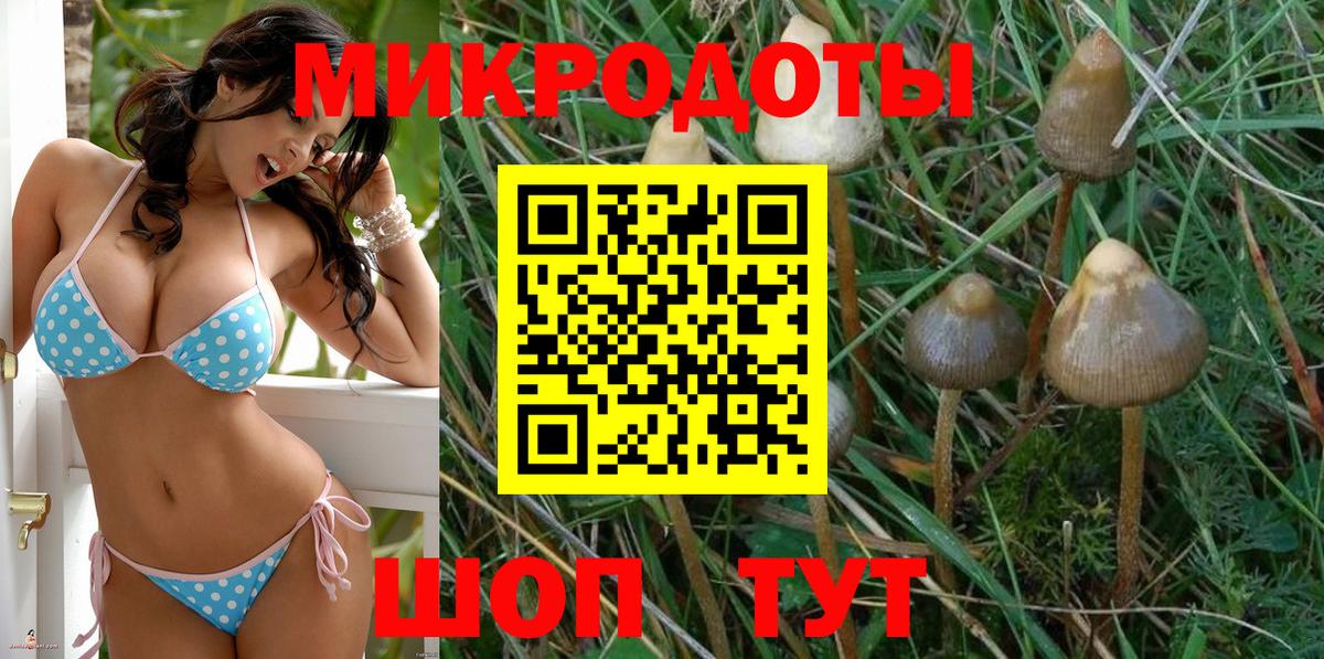 Псилоцибиновые грибы Psilocybe Люберцы