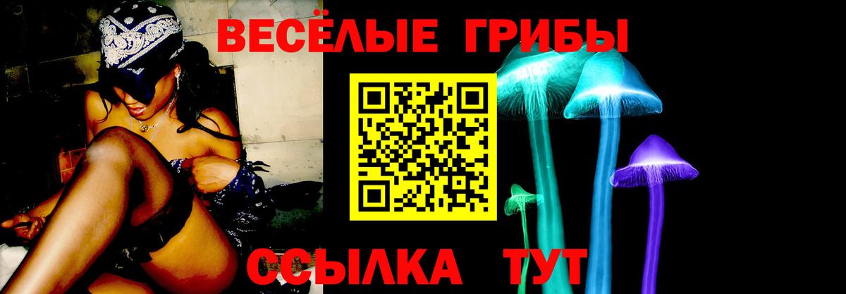 Галлюциногенные грибы GOLDEN TEACHER  Вход с VPN  Люберцы  Псилоцибиновые грибы MAGIC MUSHROOMS 